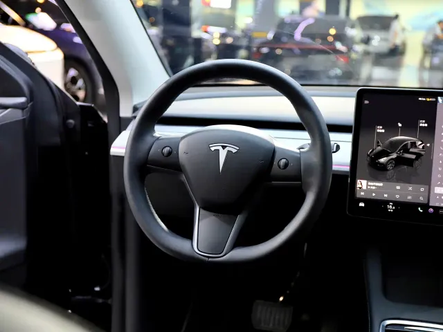 Tesla Model Y — Фото автомобиля 11