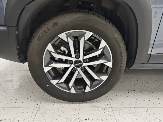 Haval Big Dog — Фото автомобиля 22