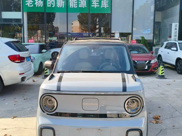 Фотография автомобиля — Geely Panda