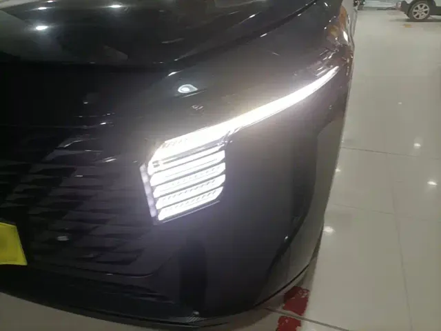 Venucia Venucia Big V 2022 260T Dark Horse Edition·Idol — Фото автомобиля 23
