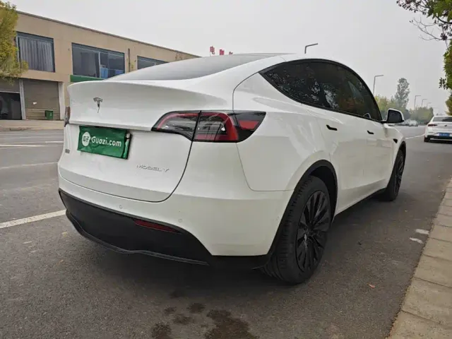 Tesla Model Y — Фото автомобиля 6