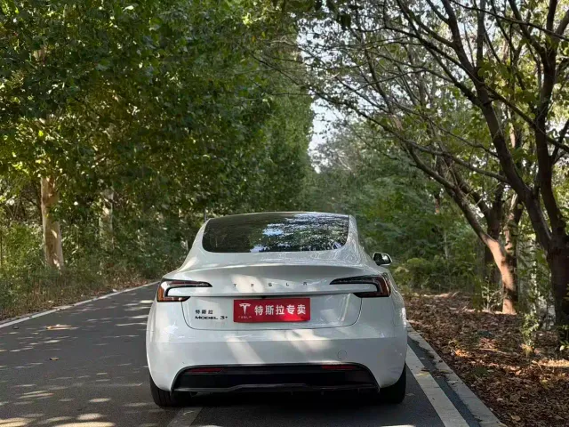 Tesla Model 3 — Фото автомобиля 8