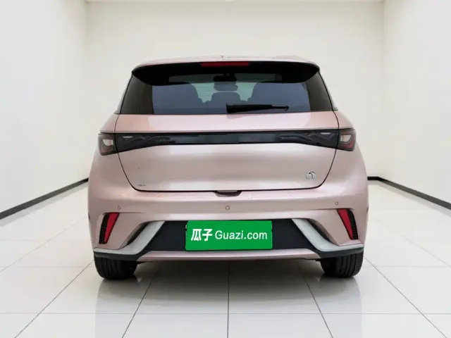 BYD Dolphin — Фото автомобиля 3
