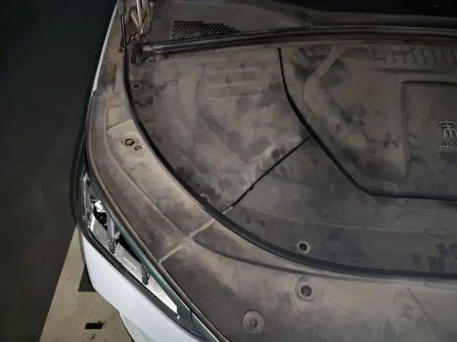 BYD Song PLUS — Фото автомобиля 21
