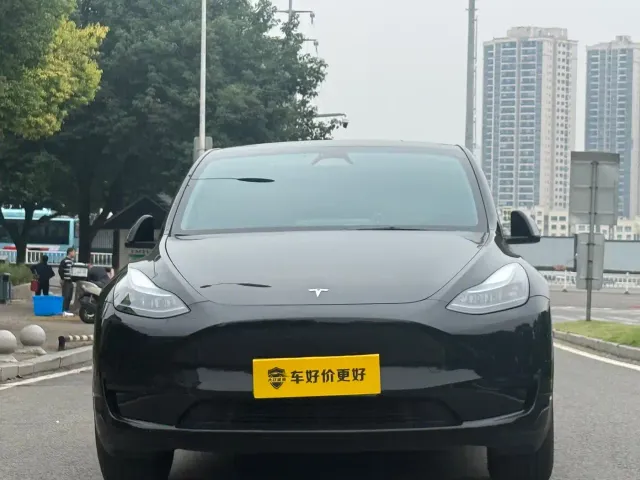 Tesla Model Y — Фото автомобиля 2