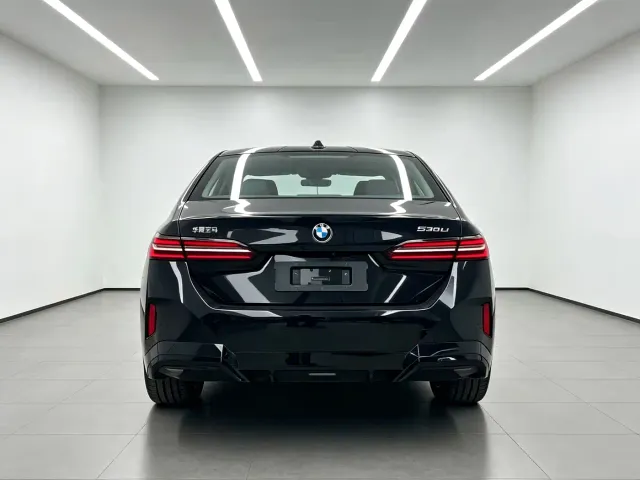 BMW 5 Series — Фото автомобиля 6