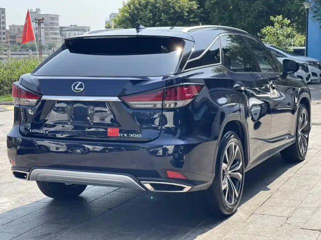 Lexus RX — Фото автомобиля 6