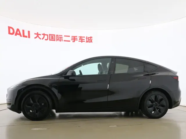 Tesla Model Y — Фото автомобиля 8