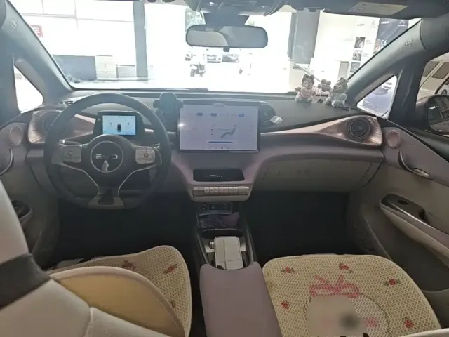 BYD Dolphin — Фото автомобиля 9