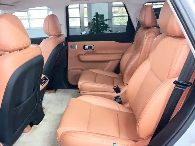 Leapmotor Leapmotor C16 2024 Pure Electric 520 Premium Edition — Фото автомобиля 26