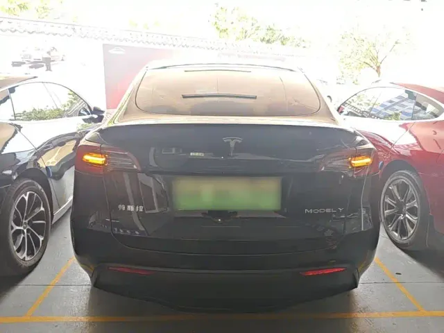 Tesla Model Y — Фото автомобиля 5