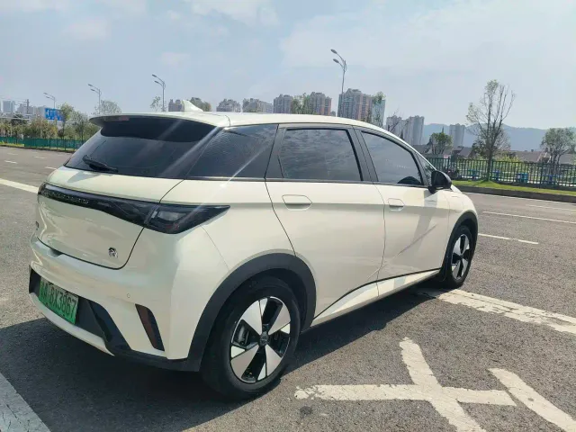 BYD Dolphin — Фото автомобиля 16