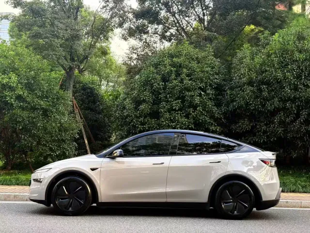 Tesla Model Y — Фото автомобиля 3