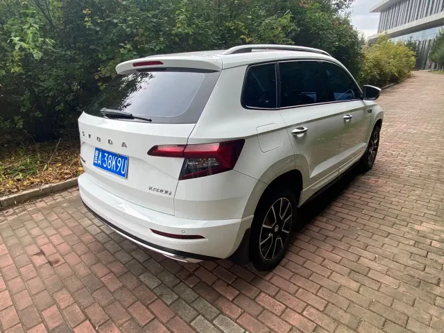 Skoda Karoq — Фото автомобиля 6