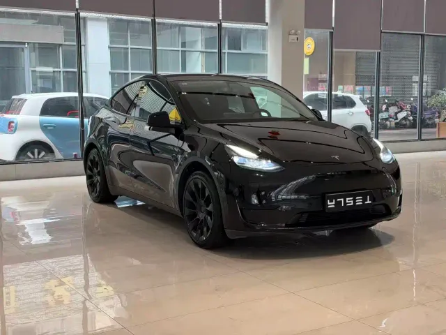 Tesla Model Y — Фото автомобиля 3