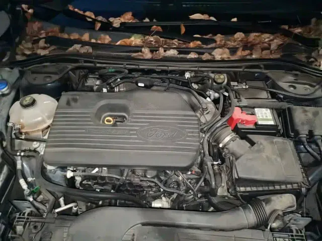 Ford Escape — Фото автомобиля 10