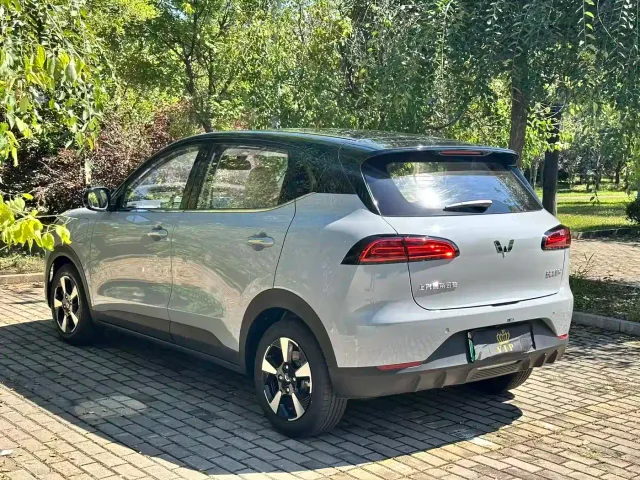 Wuling Binguo PLUS — Фото автомобиля 8