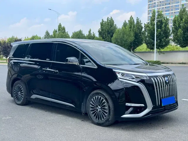 Denza D9 — Фото автомобиля 3