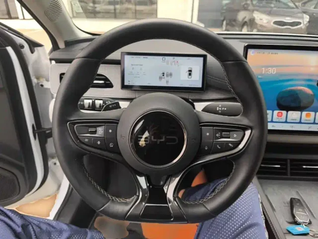BYD Seal 06 DM-i Touring 2025 DM-i 150KM Flagship — Фото автомобиля 10