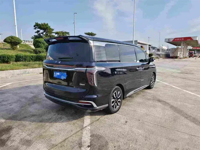 Hongqi Hongqi HQ9 2023 2.0T Smart Connect Flag Enjoy Edition — Фото автомобиля 9