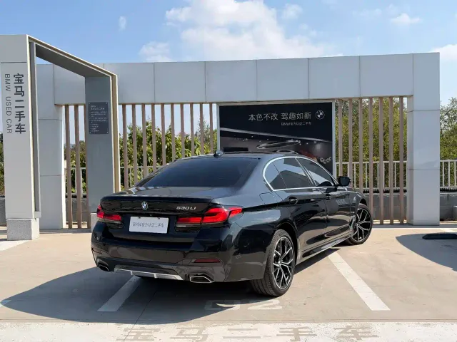BMW 5 Series — Фото автомобиля 11