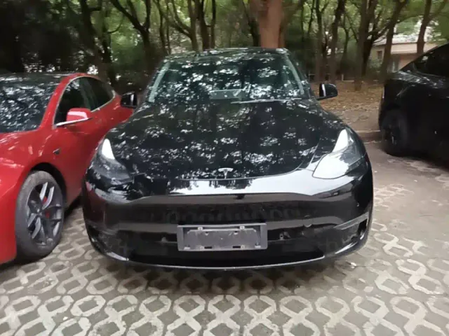 Tesla Model Y — Фото автомобиля 2