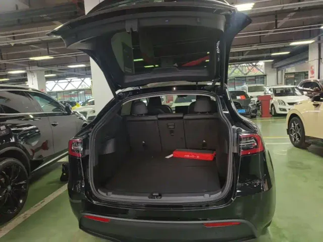 Tesla Model Y — Фото автомобиля 18