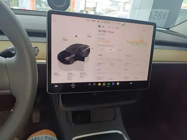 Tesla Model Y — Фото автомобиля 12