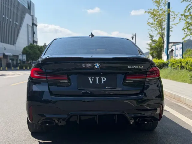 BMW 5 Series — Фото автомобиля 12