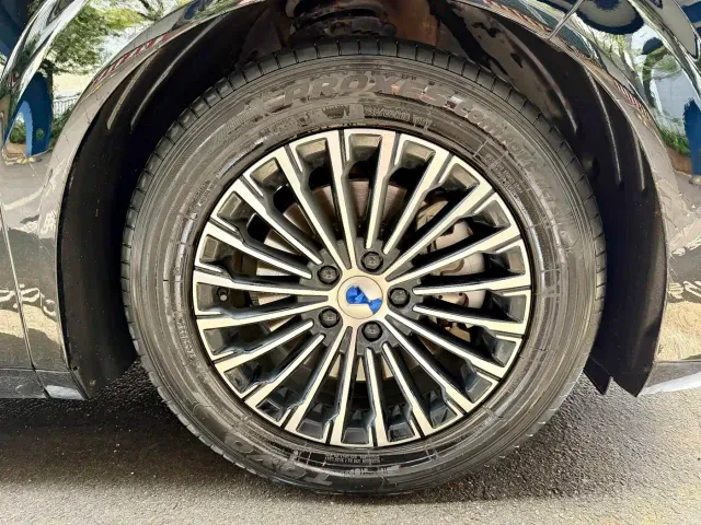 Denza D9 — Фото автомобиля 19