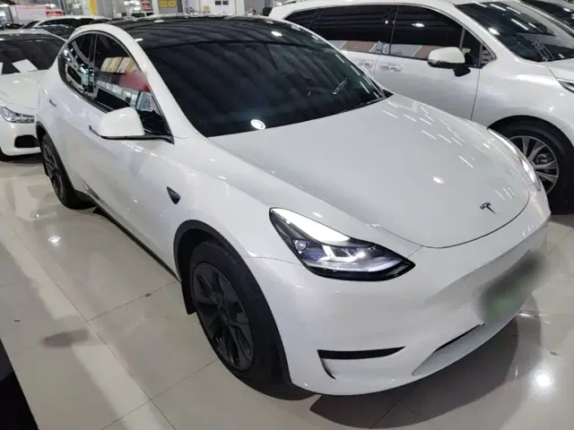 Tesla Model Y — Фото автомобиля 2