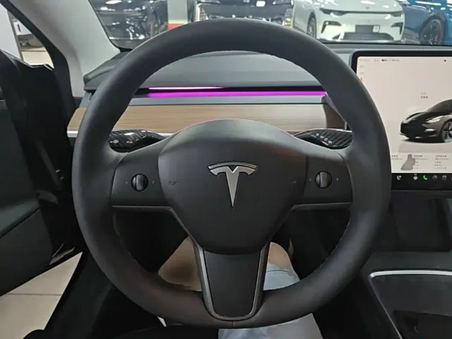 Tesla Model 3 — Фото автомобиля 10