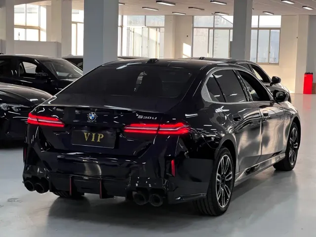 BMW 5 Series — Фото автомобиля 8
