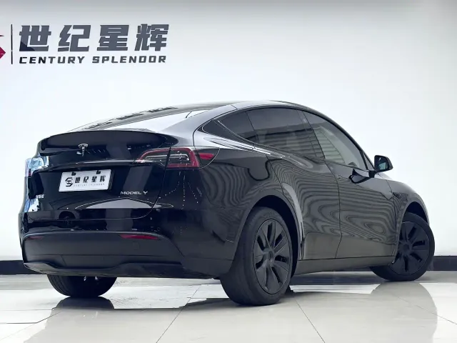 Tesla Model Y — Фото автомобиля 8