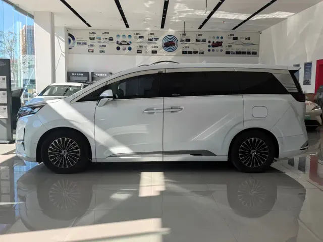 Denza D9 — Фото автомобиля 2