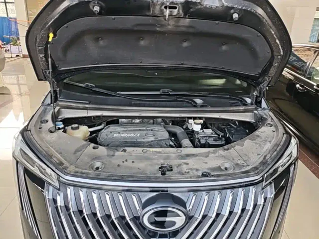 GAC Trumpchi M8 — Фото автомобиля 19