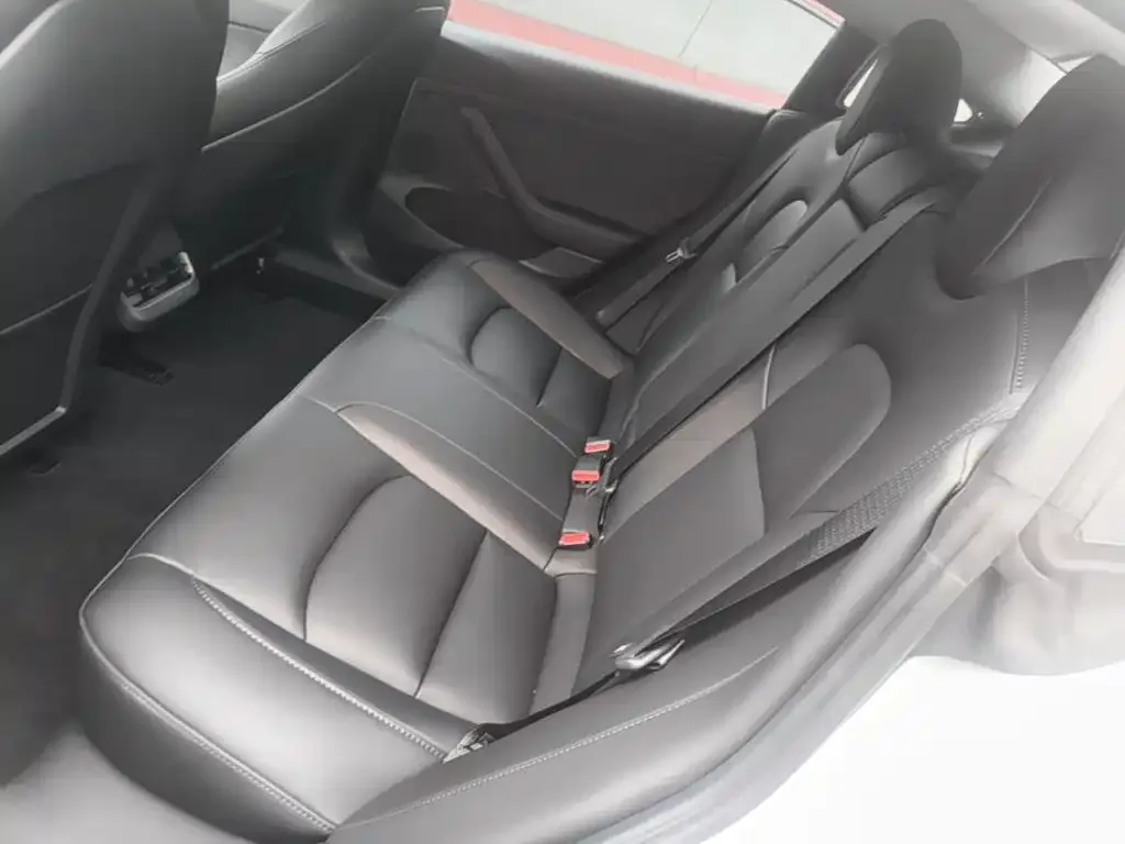 Tesla Model 3 2022 Model Rear-Wheel Drive Version — Фото автомобиля 16