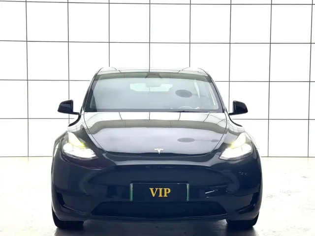 Tesla Model Y — Фото автомобиля 2