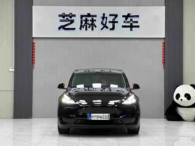 Tesla Model Y — Фото автомобиля 2