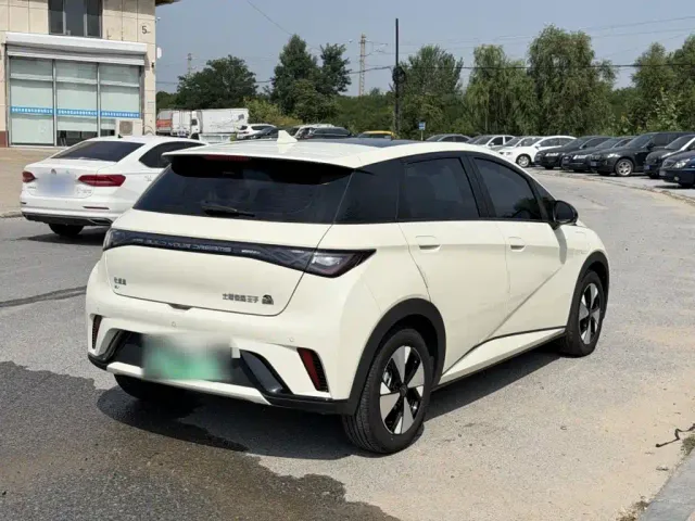BYD Dolphin — Фото автомобиля 10