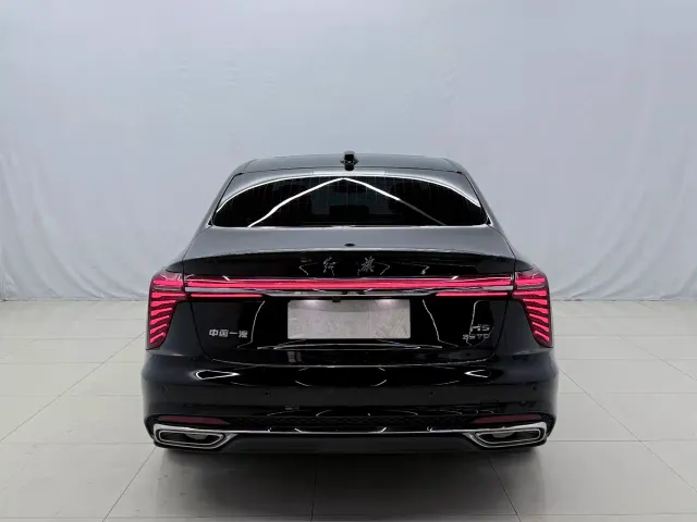 Hongqi H5 — Фото автомобиля 13