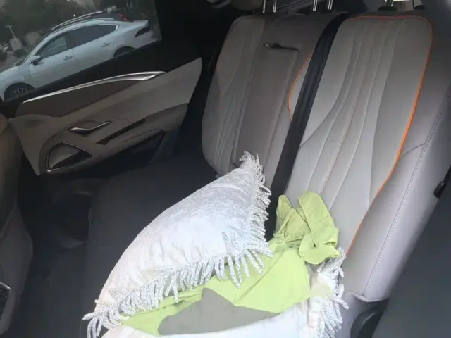 BYD Song Pro — Фото автомобиля 13