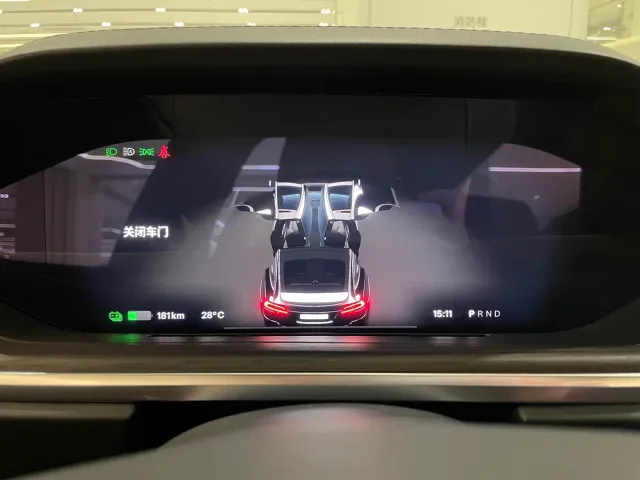 Tesla Model X — Фото автомобиля 18