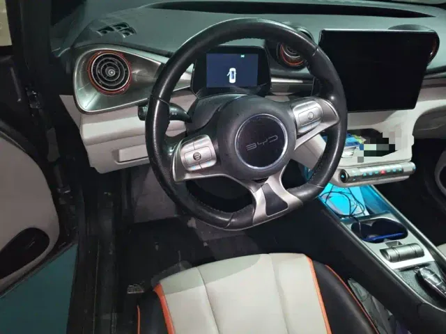 BYD Dolphin — Фото автомобиля 6
