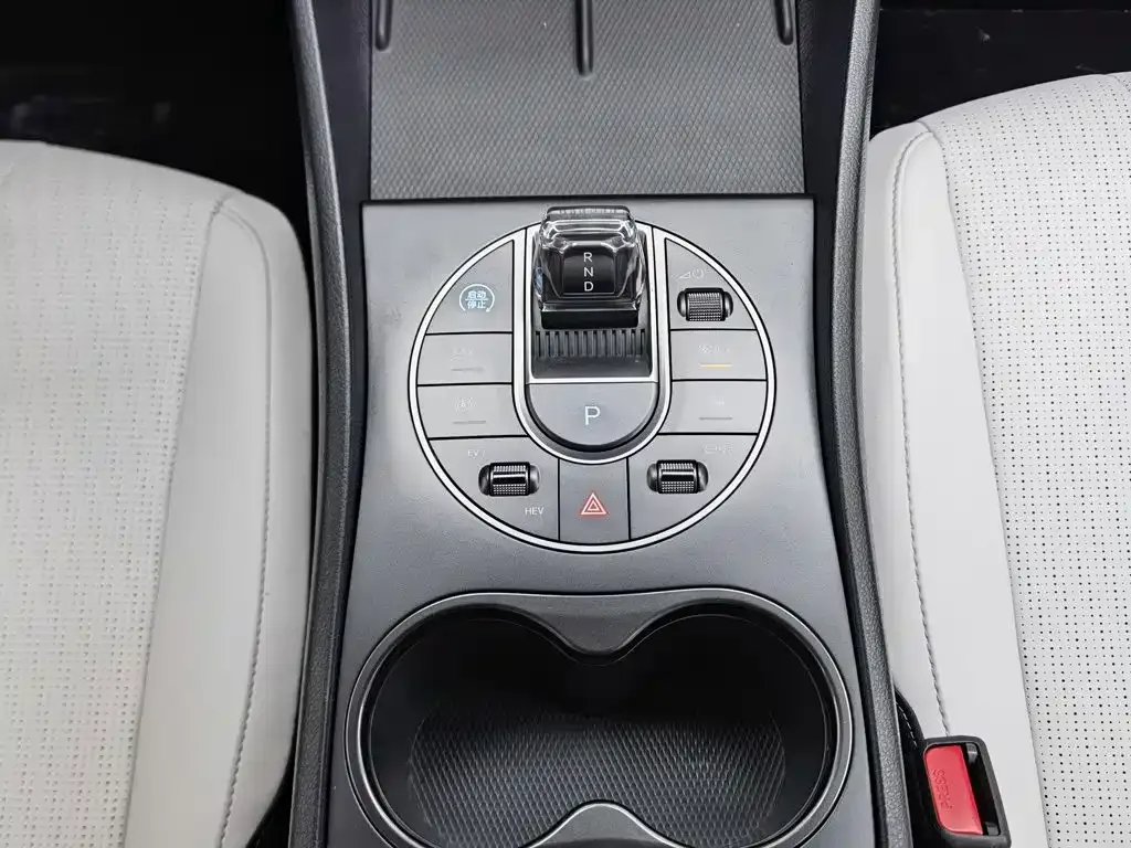 BYD Hai Bao 05 DM-i 2025 DM-i Smart Drive Edition 55KM Luxury — Фото автомобиля 13