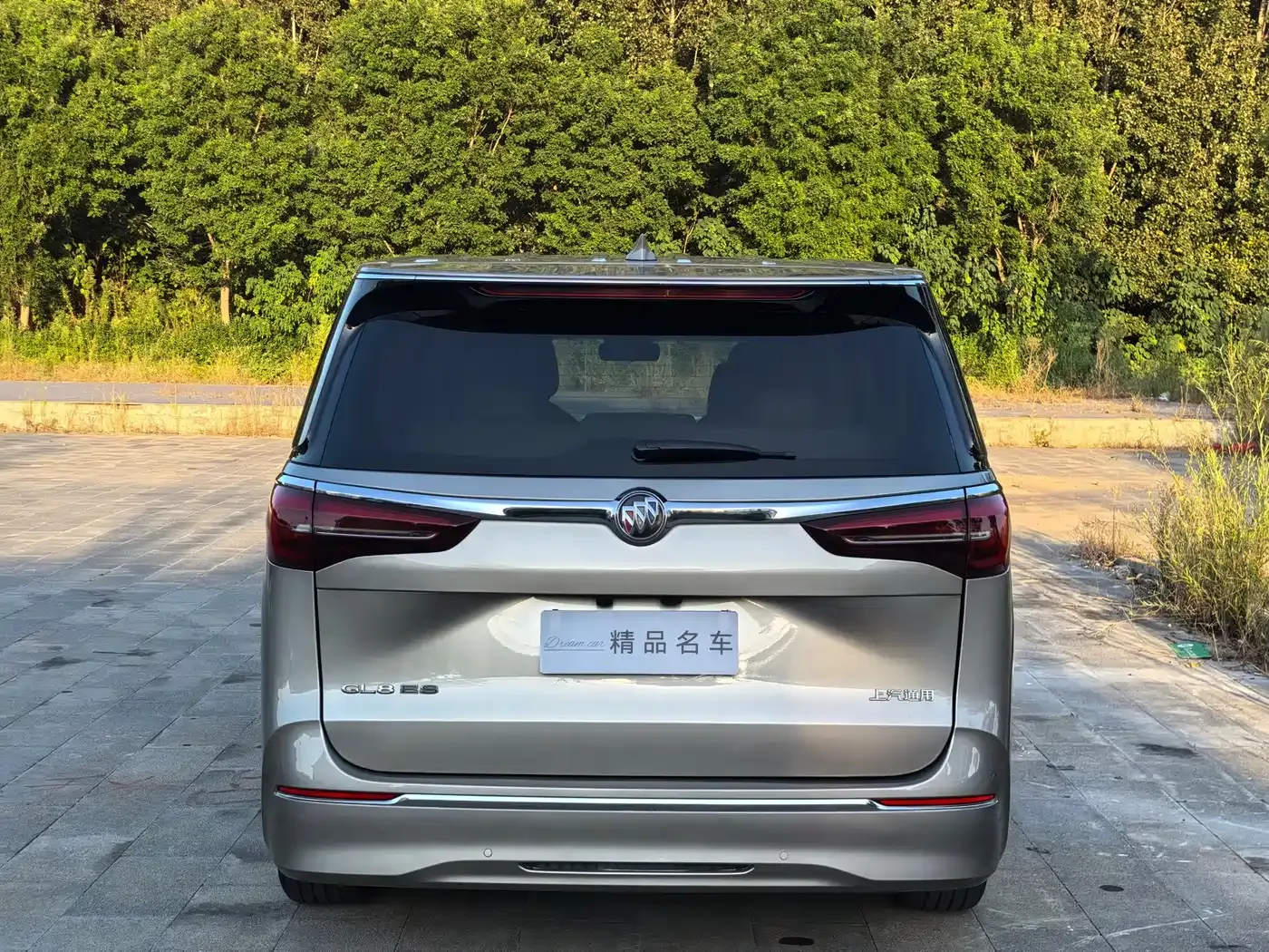 Buick Buick GL8 2023 ES Landmaster Exclusive — Фото автомобиля 6