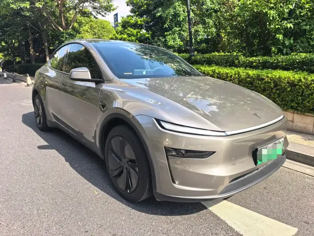 Tesla Model Y — Фото автомобиля 3
