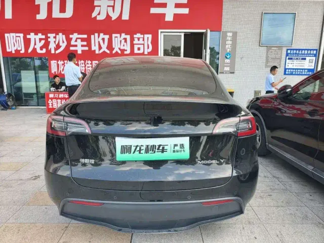 Tesla Model Y — Фото автомобиля 7