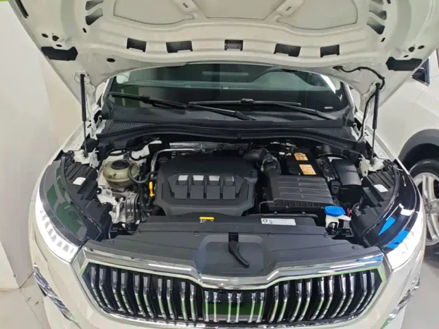 Skoda Kodiaq — Фото автомобиля 19