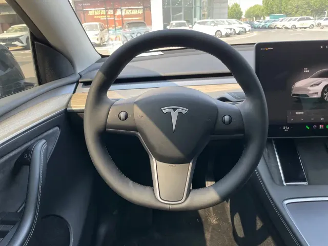 Tesla Model Y — Фото автомобиля 9
